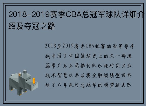 2018-2019赛季CBA总冠军球队详细介绍及夺冠之路