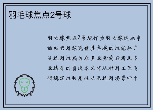羽毛球焦点2号球